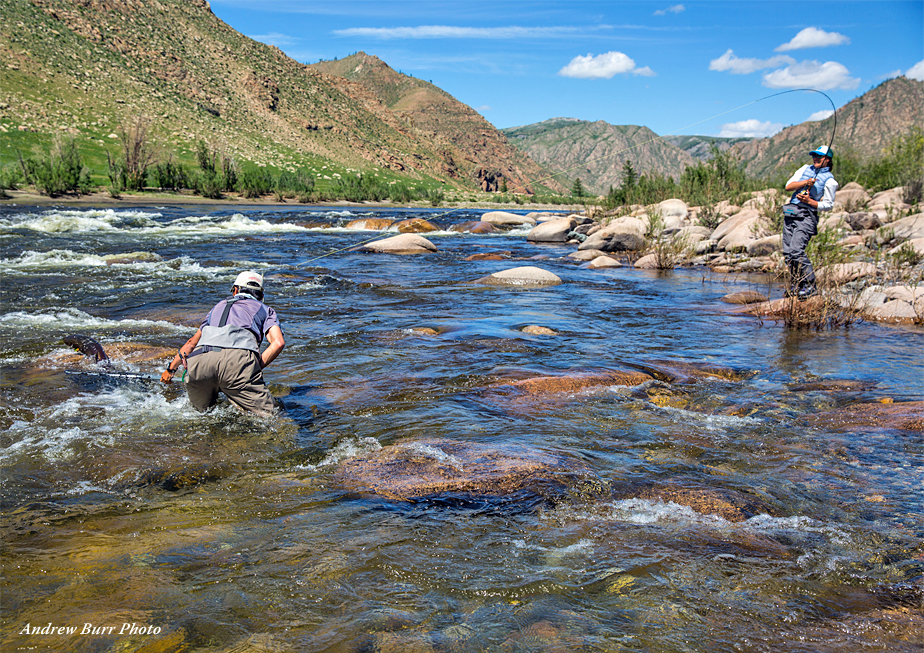 The Fly Shop Travel Image