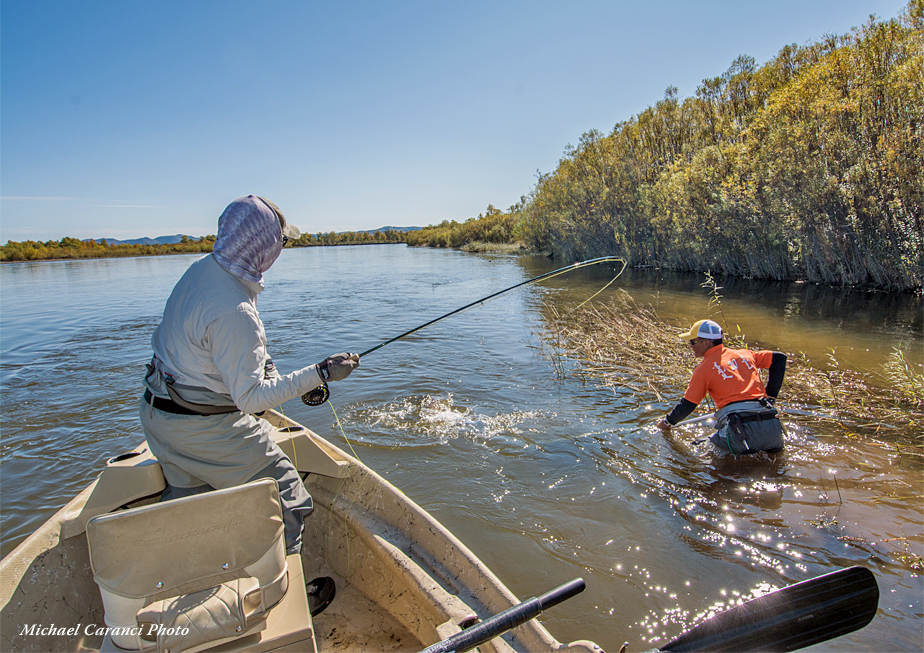 The Fly Shop Travel Image