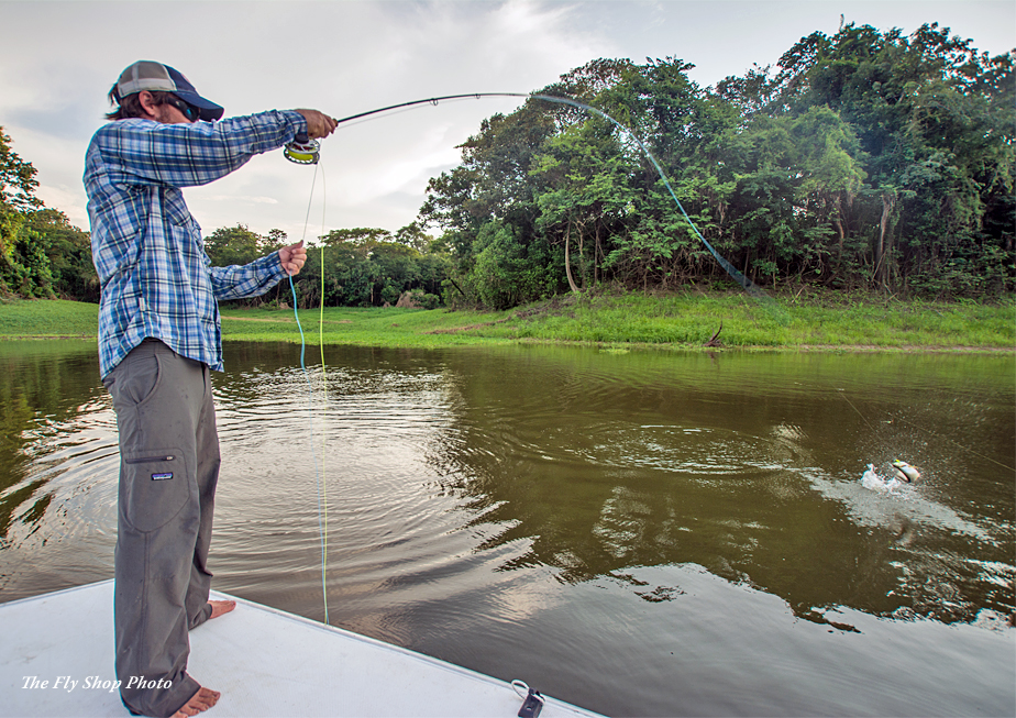 The Fly Shop Travel Image