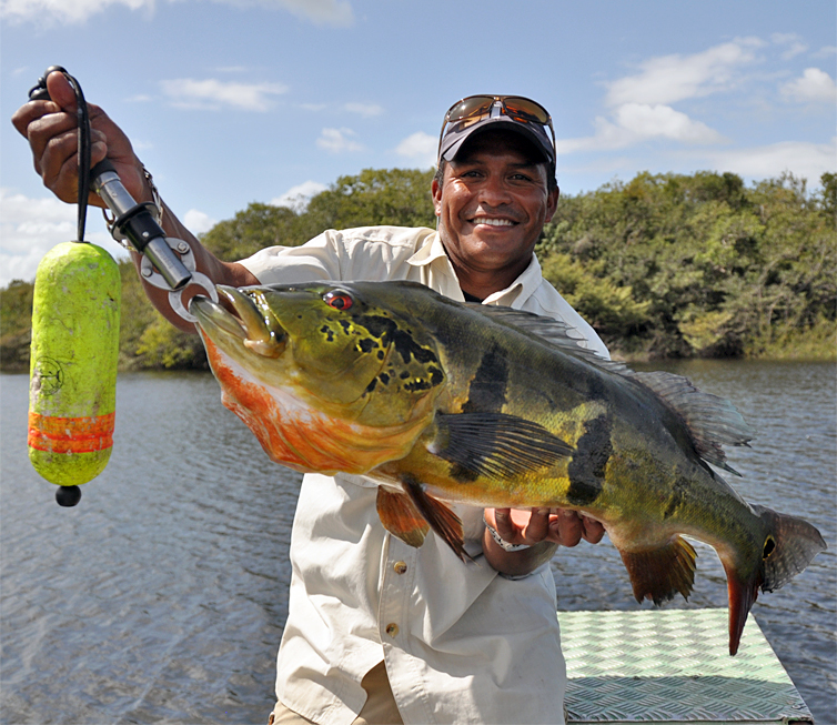 amazon fishing trips brazil