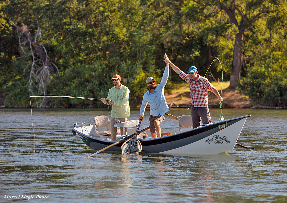 Lower Sacramento River - Guided Fishing
