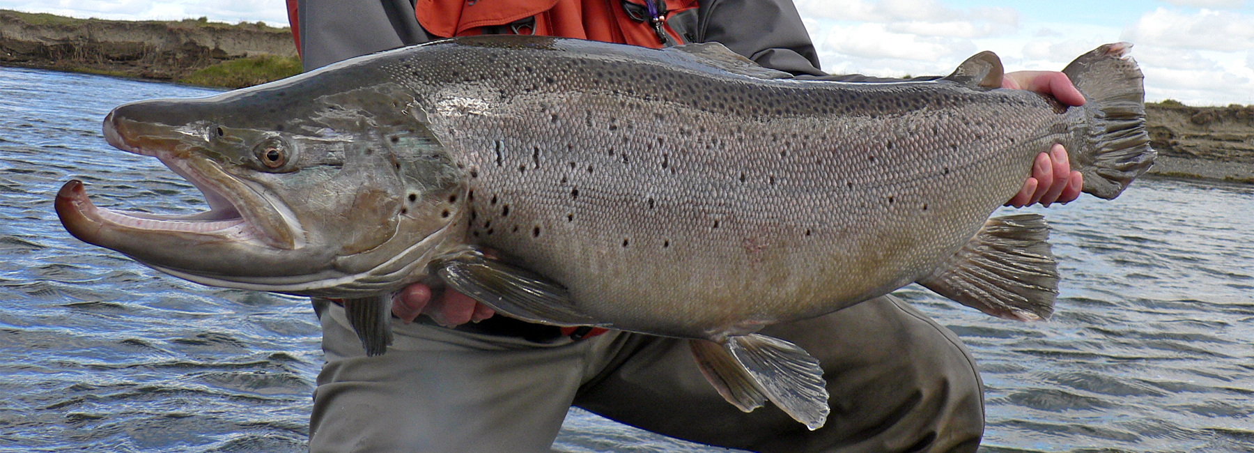 Sea Trout Fly Fishing Sea Trout Fishing Lodges