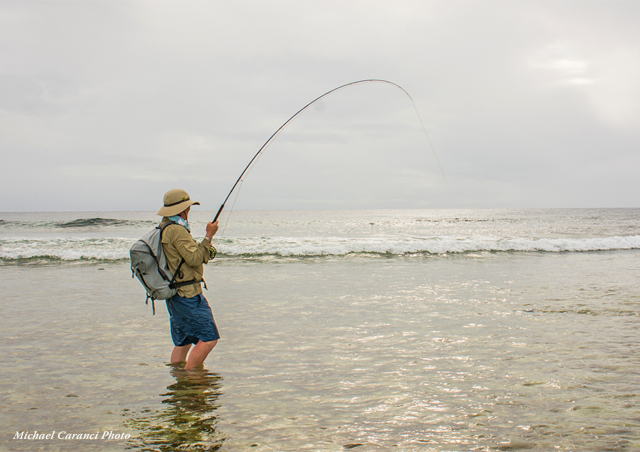 The Fly Shop Travel Image