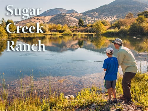 Northern California - The Fly Shop - Stream Report